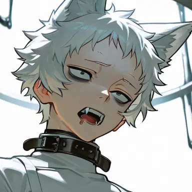 Profile image of 白