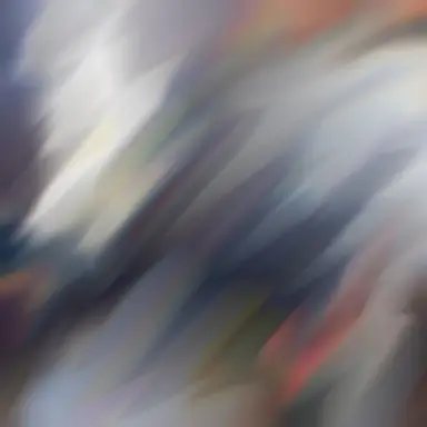 Profile image of りの