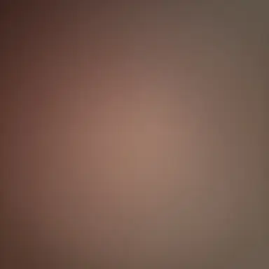 Profile image of 오시온