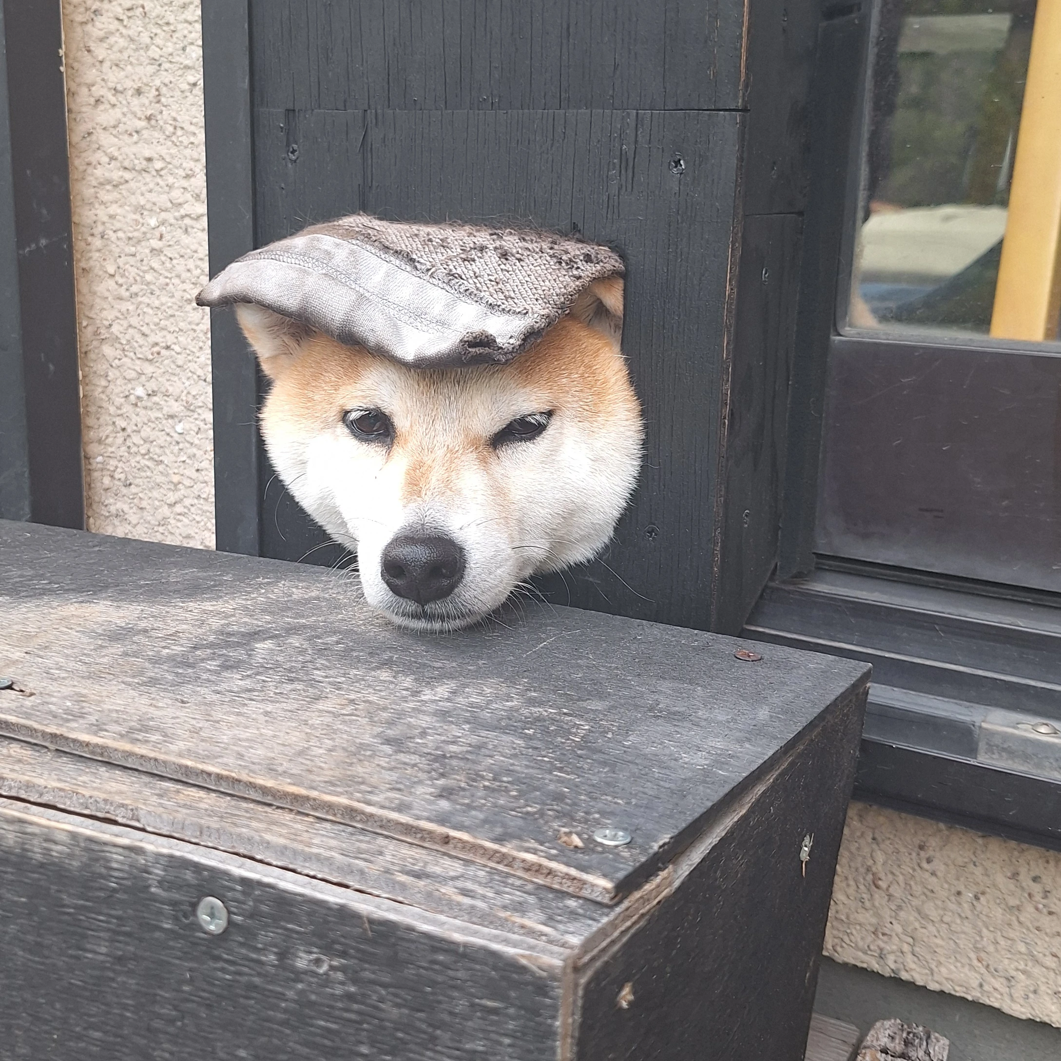 皇千ト