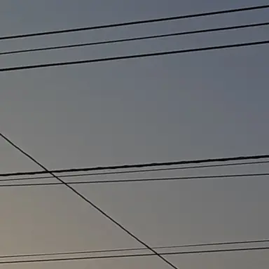 Profile image of ライチ光クラブ