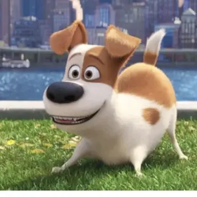 Profile image of 맥스