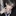 백시우