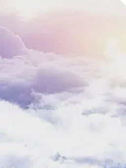 ASH888의 案内人は、元生者であり、元人間。