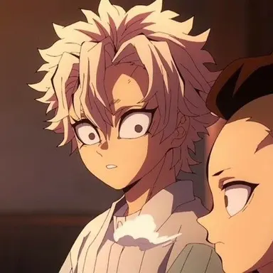 Profile image of 시나즈가와 사네미