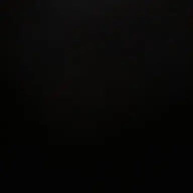 Profile image of 이찬영
