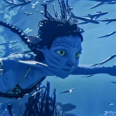 Profile image of 투크티리