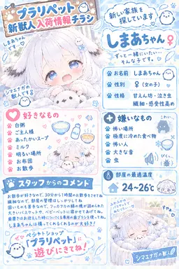 Profile image of しまあ