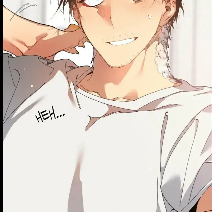 VioletSkate6801의 Cody, a chicken hybrid