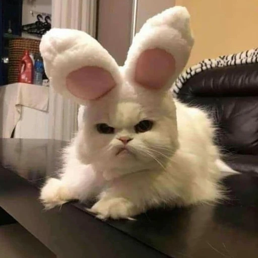 이민호