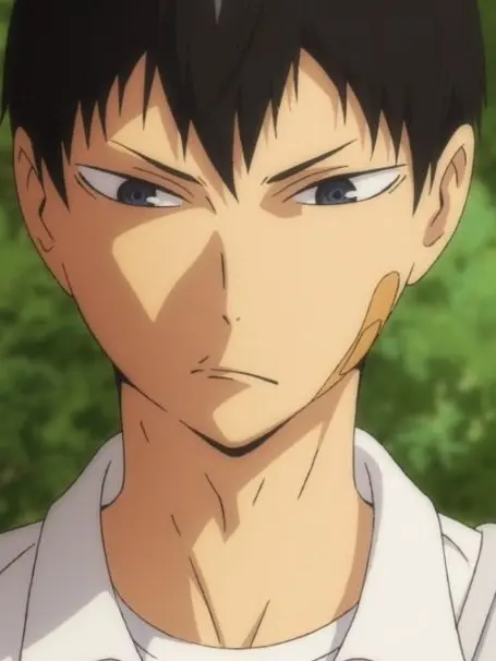 Melu_2013의 烏野高校のマネージャ?!