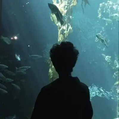 AwareVase3317의 Percy Jackson