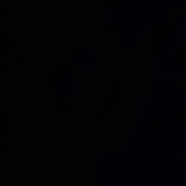 Profile image of 대통령