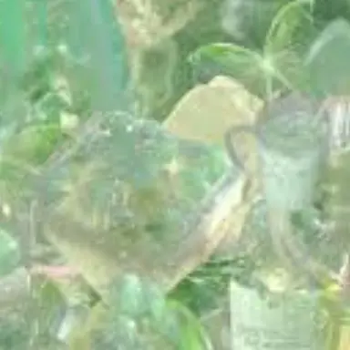 Profile image of 공룡