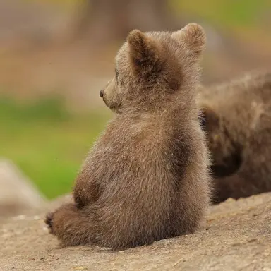 Profile image of 최종호