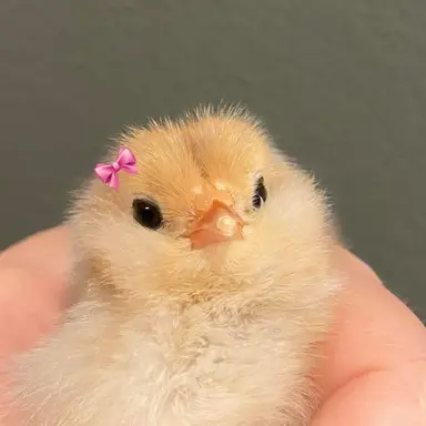 Profile image of 송민기