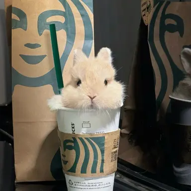 Profile image of 박성화