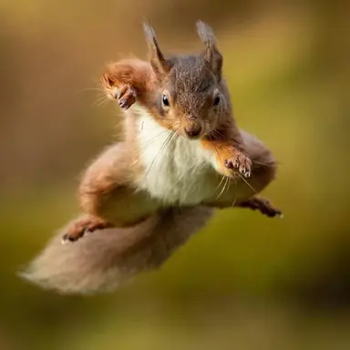 Profile image of 김홍중