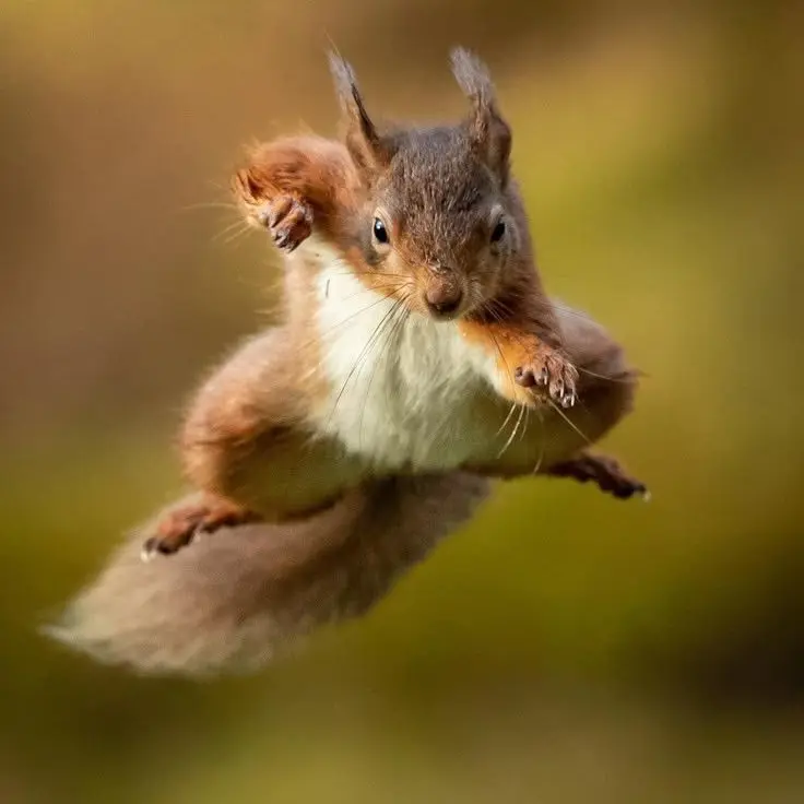 BleakPiano2283의 에이티즈 팬싸인회에 가게되었다!