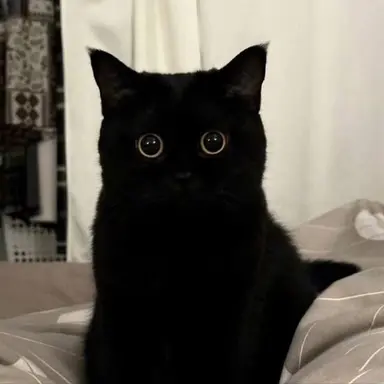 Profile image of 정우영