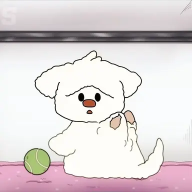 Profile image of DD