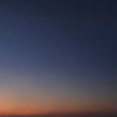 Profile image of 팜