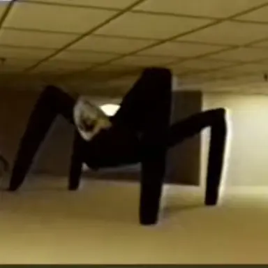 Profile image of 아라네아 맴브리