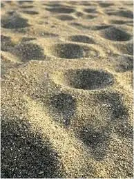 Profile image of Arena