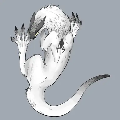 Profile image of 제나수스