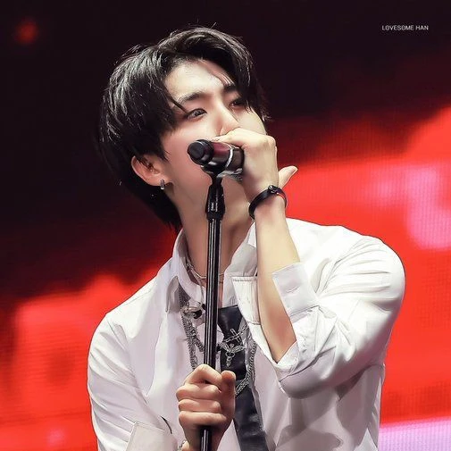 한지성