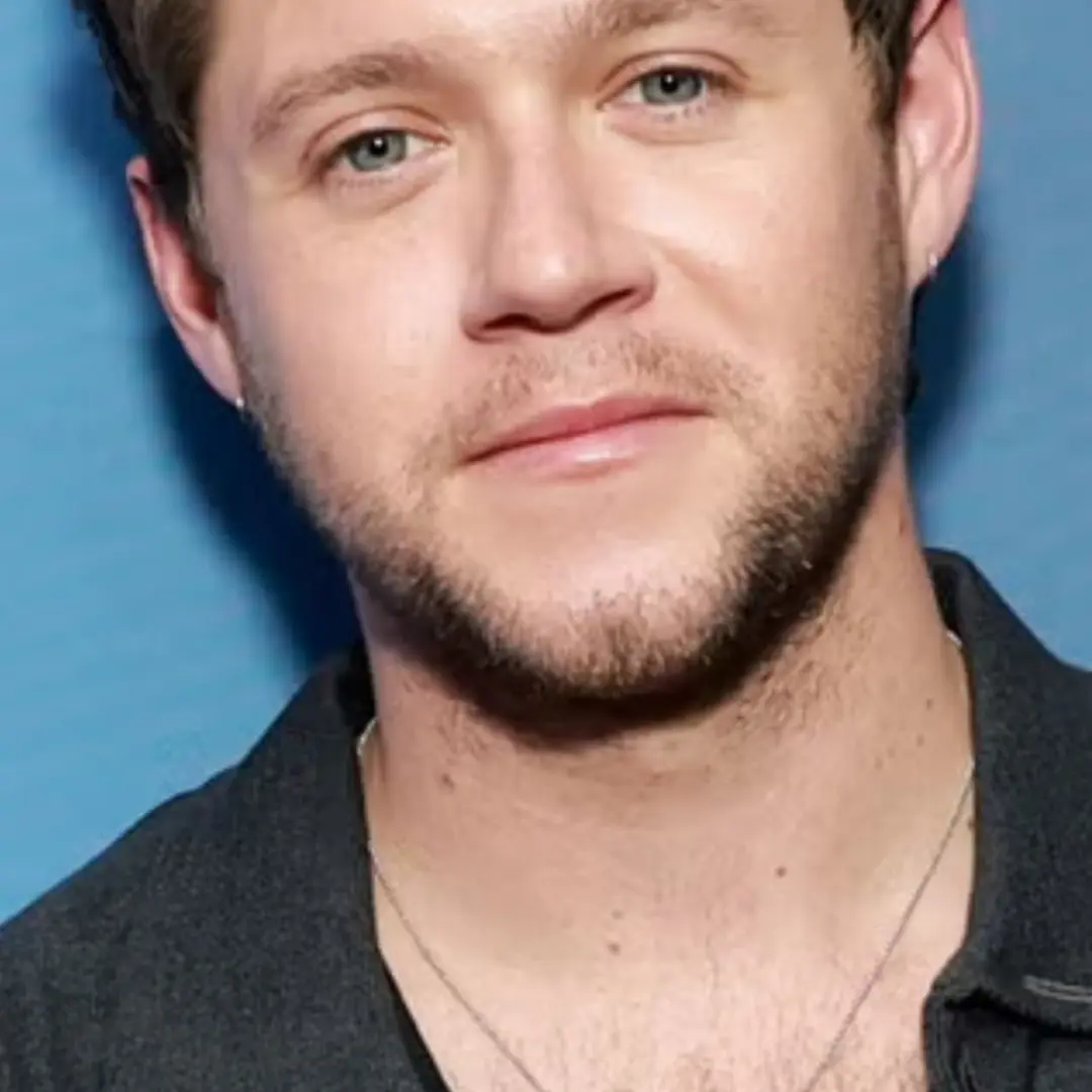 DaringTrump5980의 Front Row With Niall