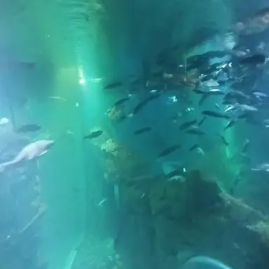 Profile image of 안전맨