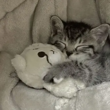 Profile image of じふな