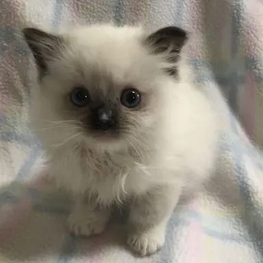 Profile image of じゅな