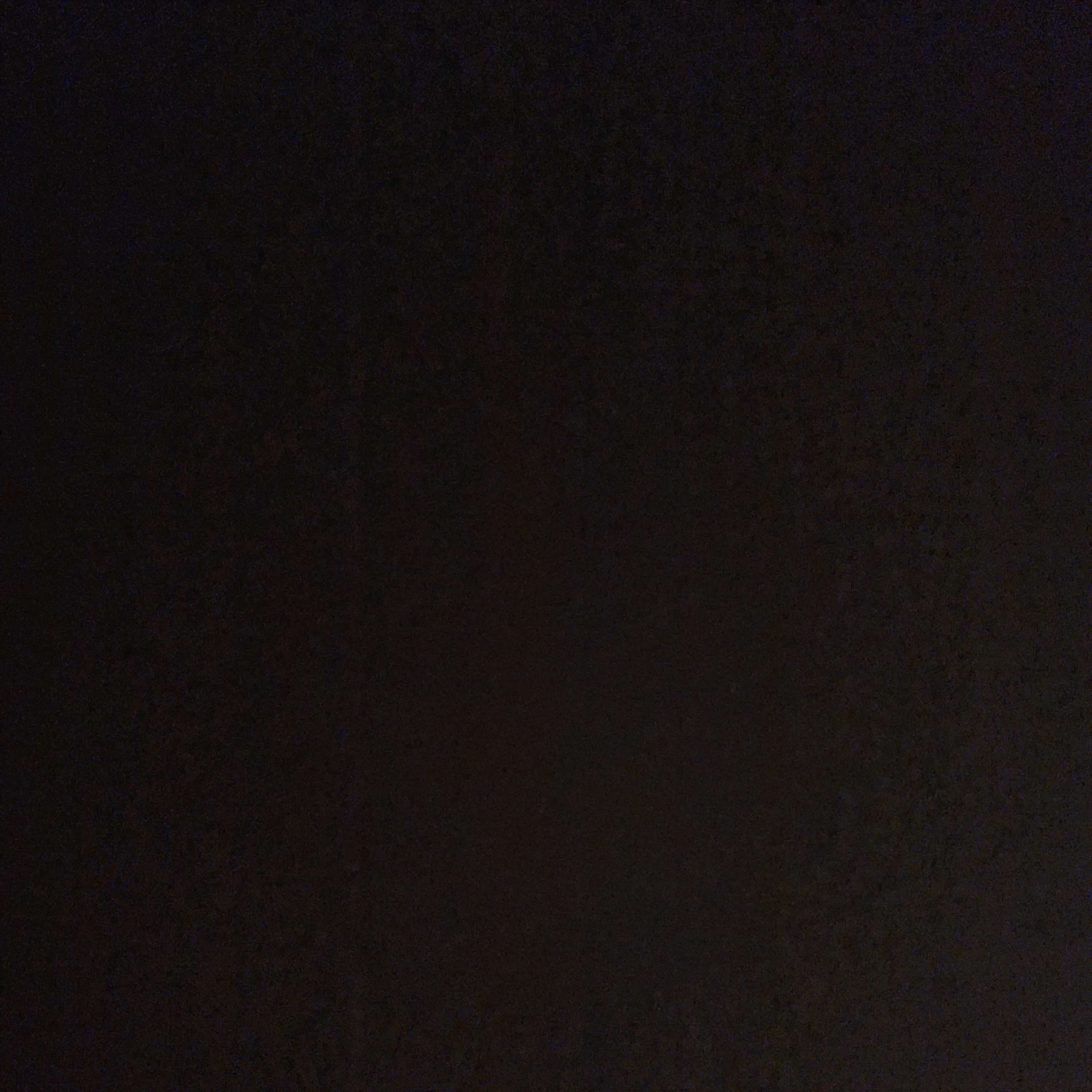 유 일