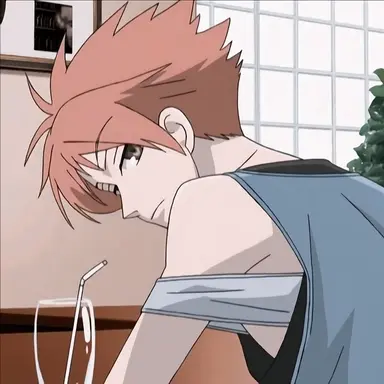 Profile image of Hikaru Hitachiin