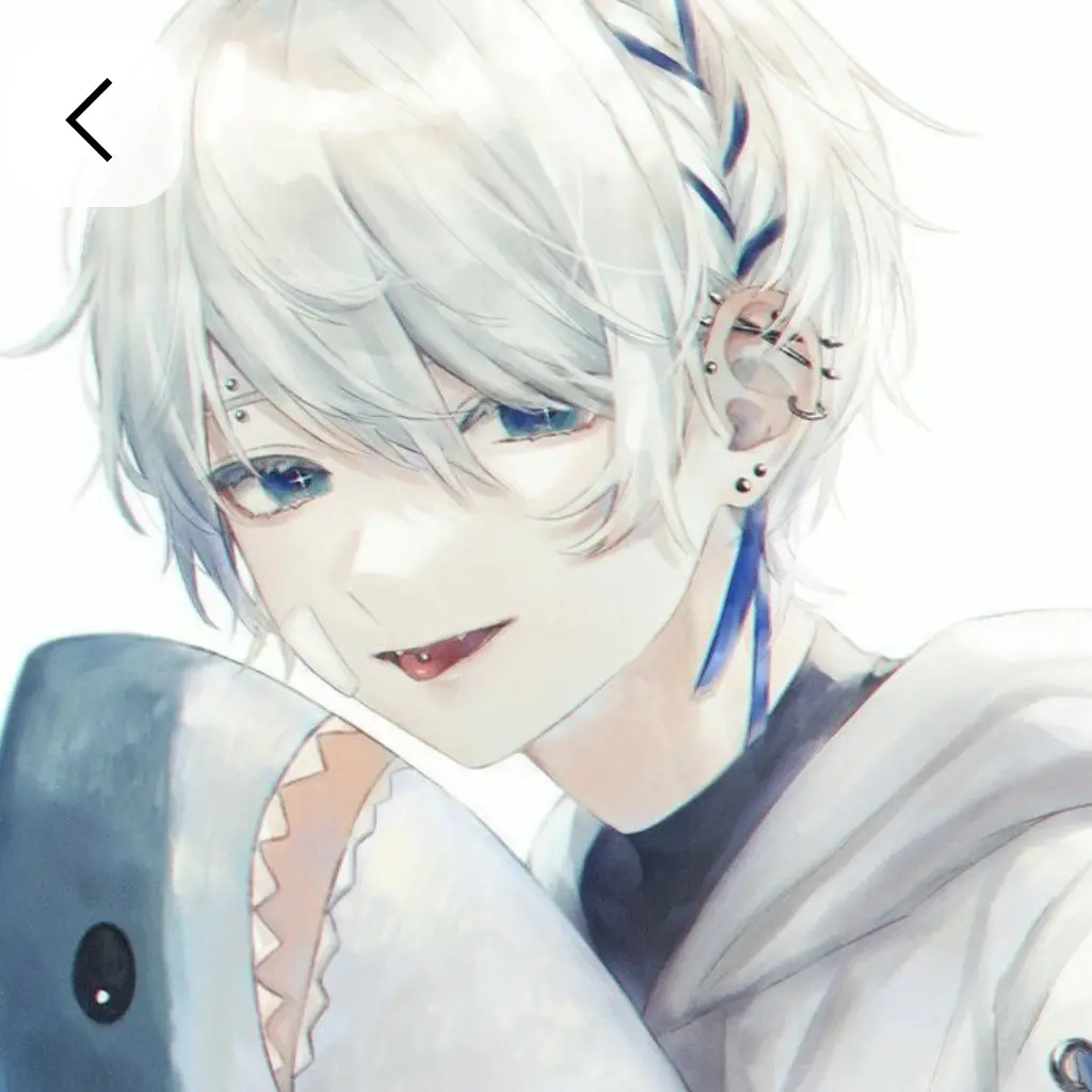 Kixtouka의 サメ君