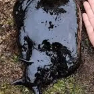 Profile image of The Slug