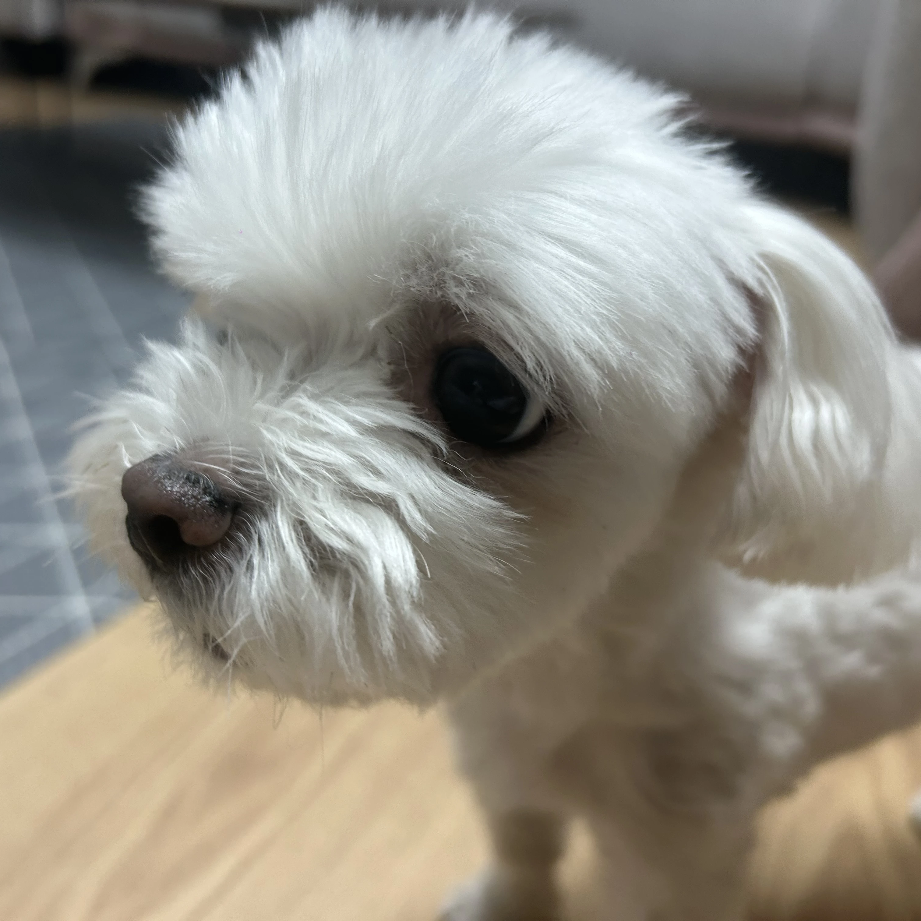맴버 2
