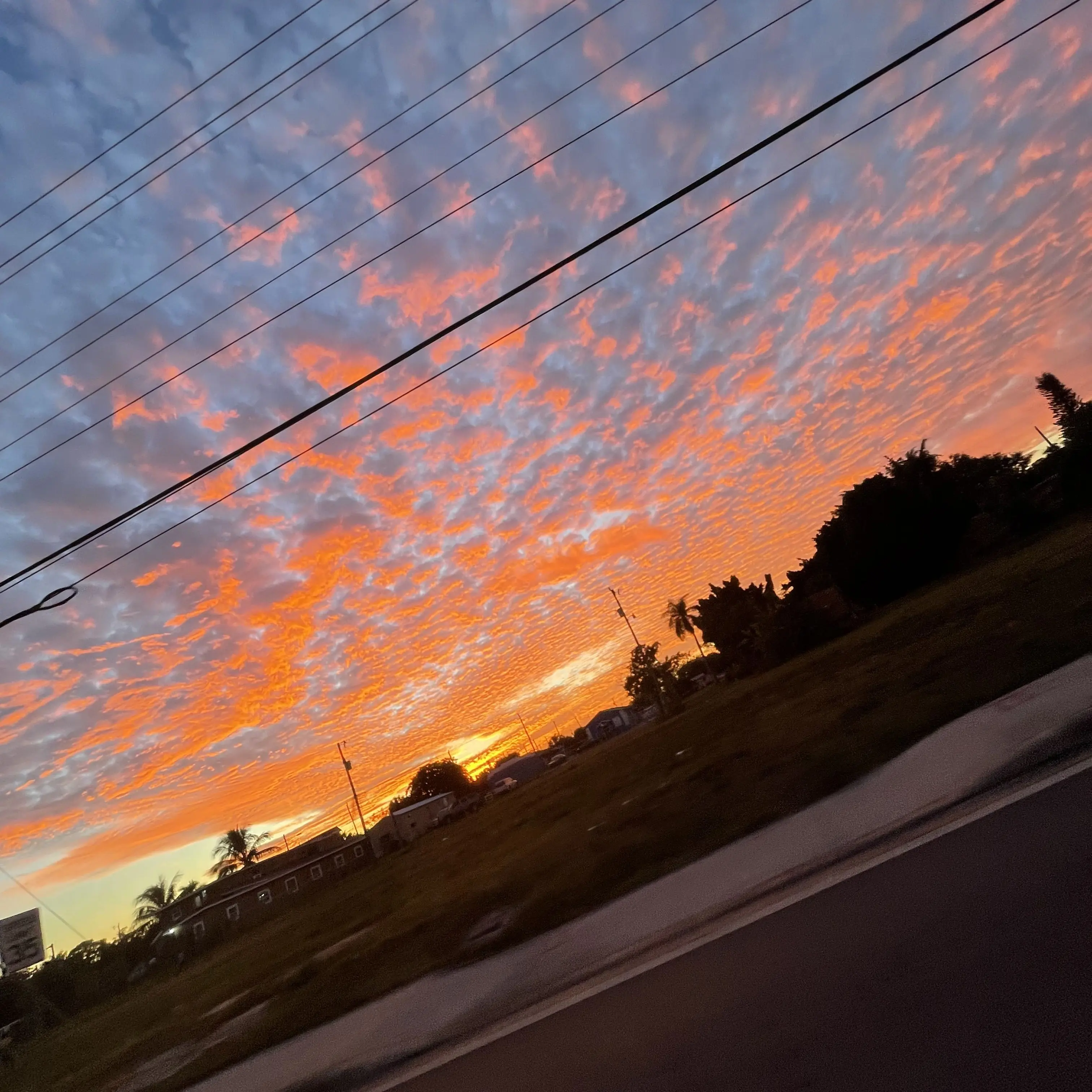 Elisadabaddie2838의 The group