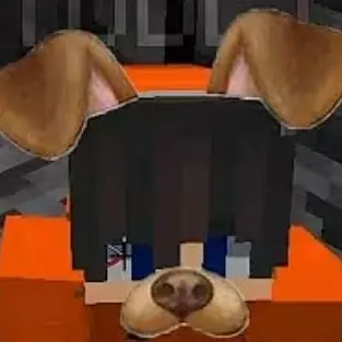 Profile image of 코마