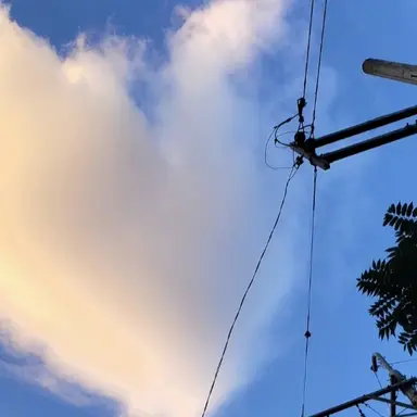 Profile image of 이노스케