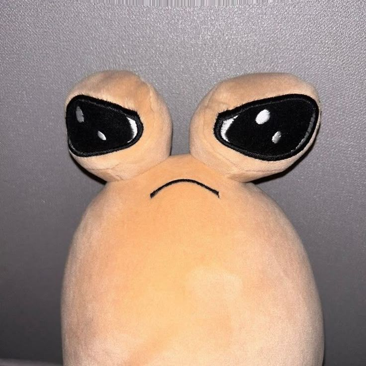 포우 대표 이미지