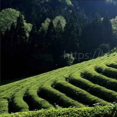 Profile image of 백지헌