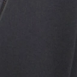 햄스터 권순영