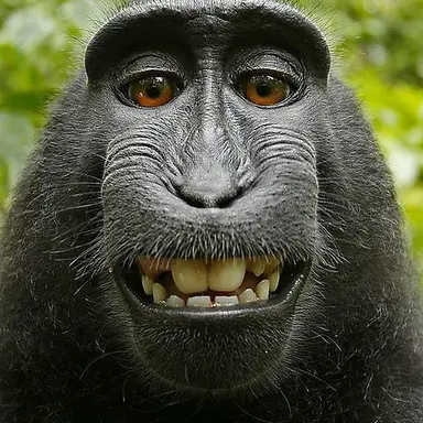 Profile image of 김지랄