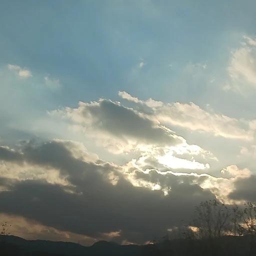 라이즈소희 남사친
