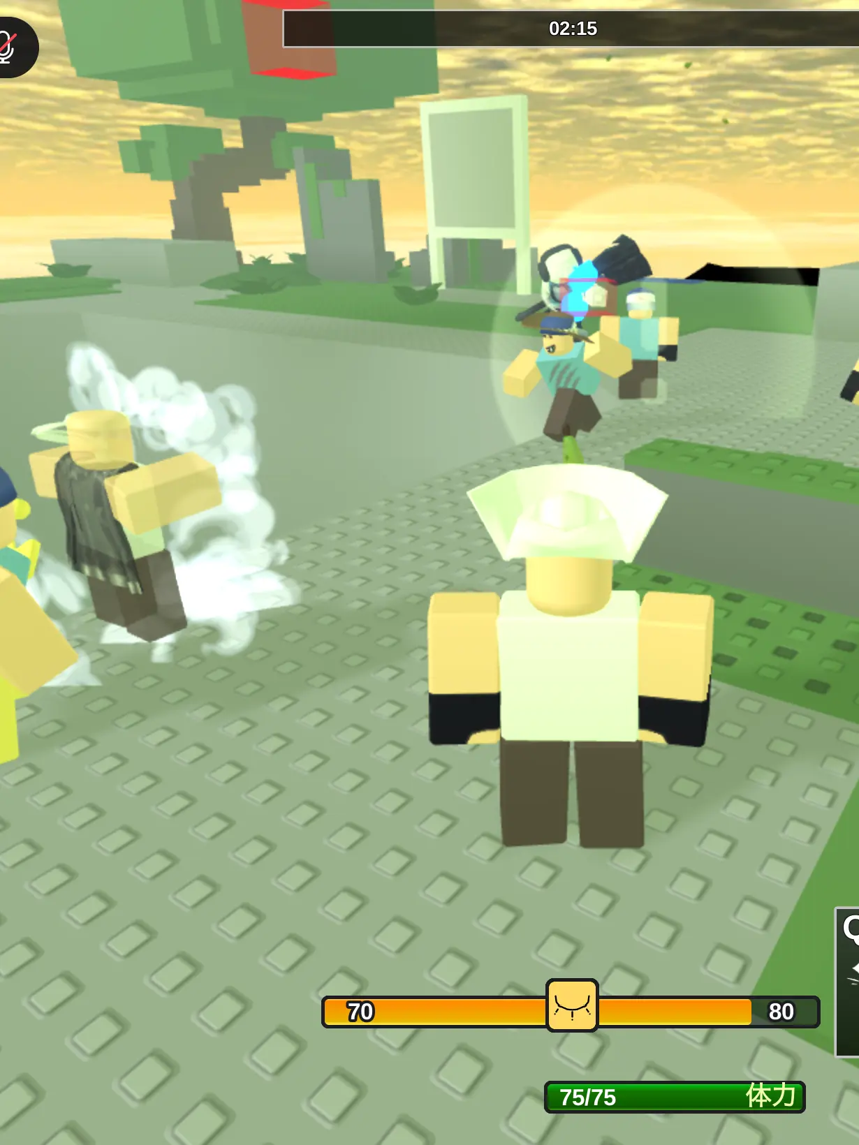 Robloxian_의 ふぉーたんと