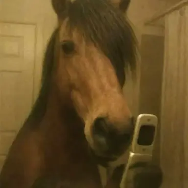 Profile image of 쟝 키르슈타인