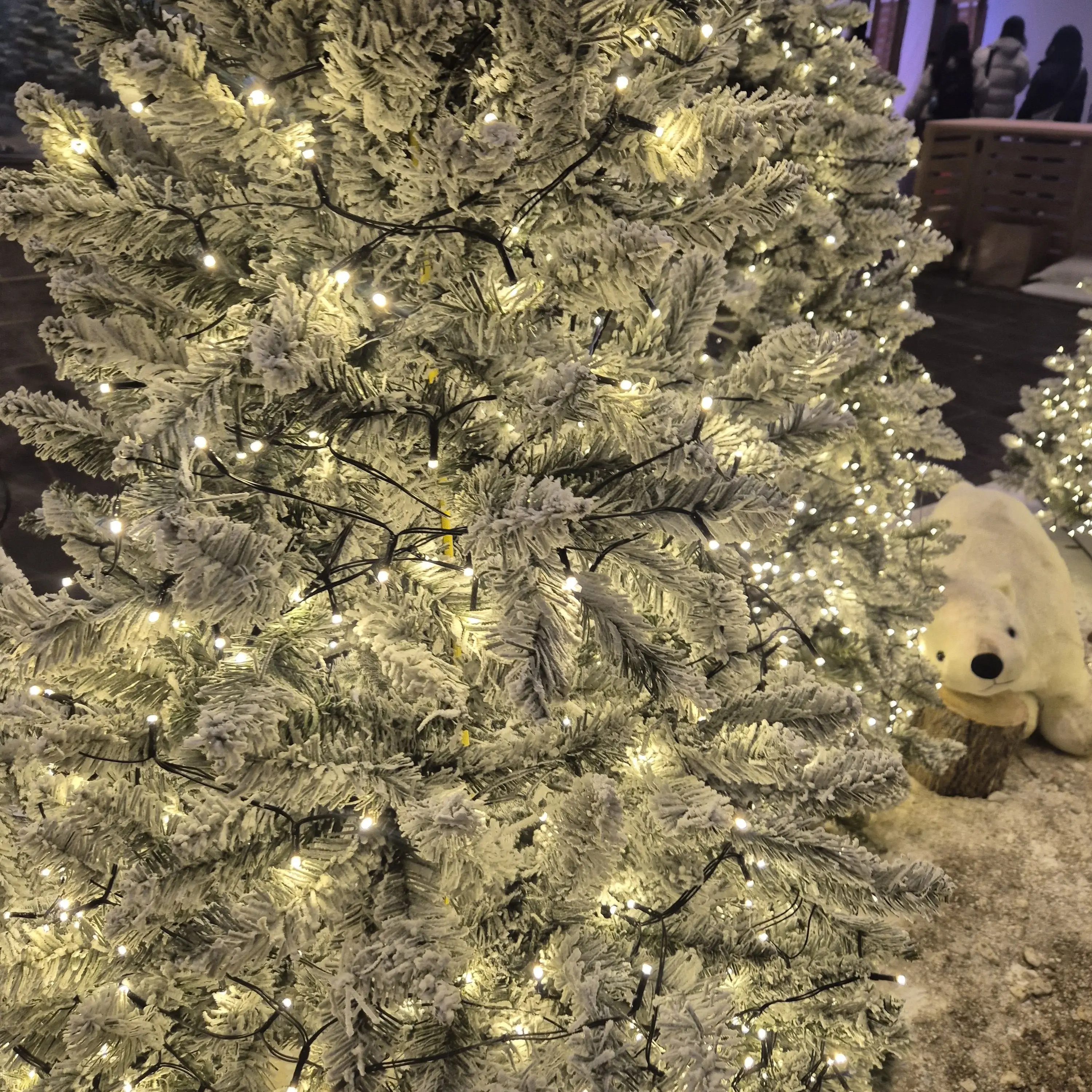 HuskyShop6305의 박성진